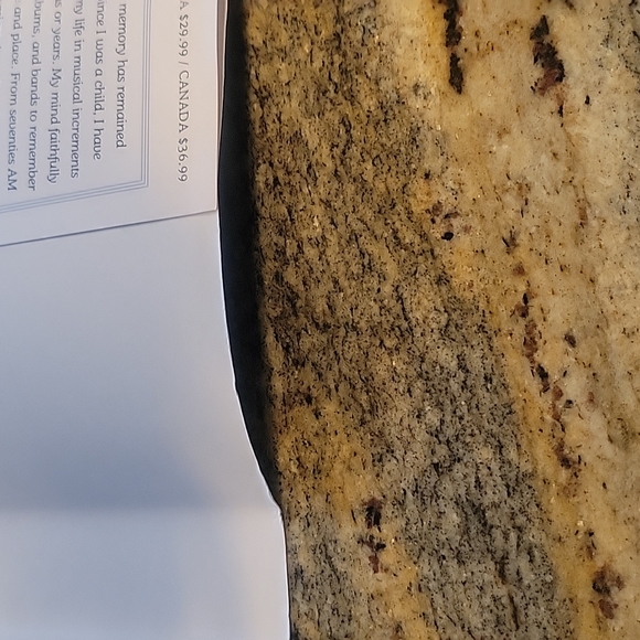 Dave Grohl life story 📚 book - Picture 11 of 11